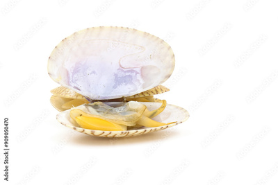 image to crop