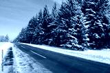 preview cold