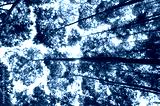 preview cold