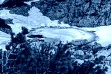 preview cold