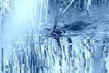 preview cold