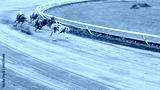 preview cold