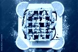 preview cold