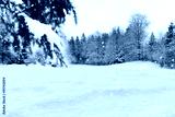 preview cold
