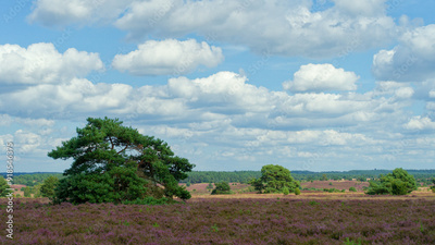 image to crop