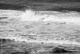 preview bw