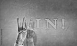 preview bw