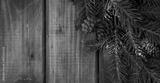 preview bw