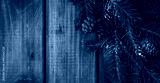 preview cold