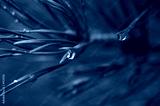 preview cold