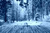 preview cold