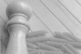 preview bw