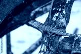 preview cold