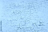preview cold