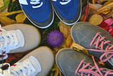 preview original