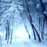 preview cold