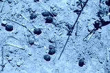 preview cold