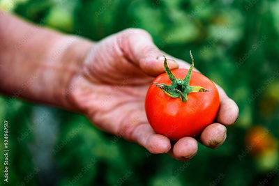 image to crop