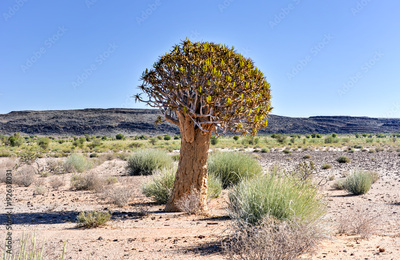 image to crop
