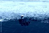 preview cold