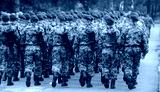 preview cold