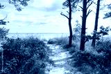 preview cold