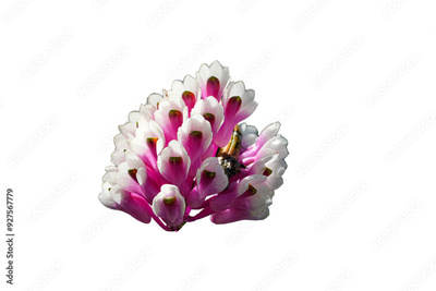 image to crop