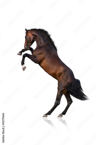 image to crop
