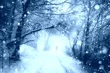 preview cold