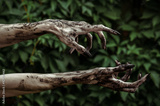 preview original