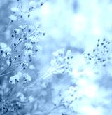preview cold
