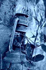 preview cold