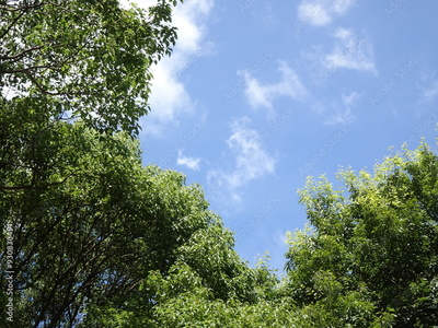 image to crop