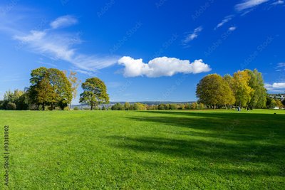 image to crop