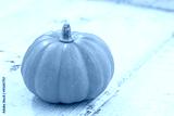 preview cold