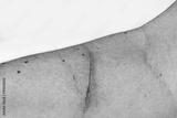 preview bw