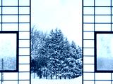 preview cold