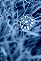 preview cold