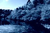 preview cold