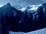preview cold