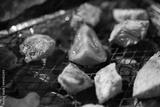 preview bw