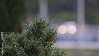 image to crop