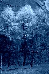 preview cold