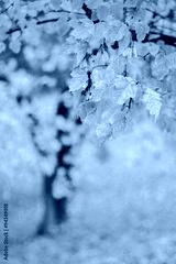 preview cold