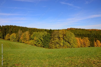 image to crop