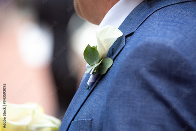 image to crop