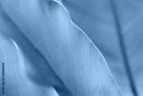 preview cold