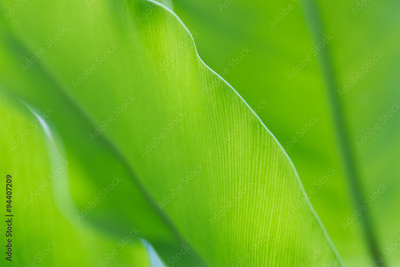 image to crop