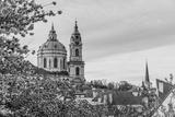 preview bw