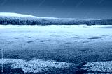 preview cold